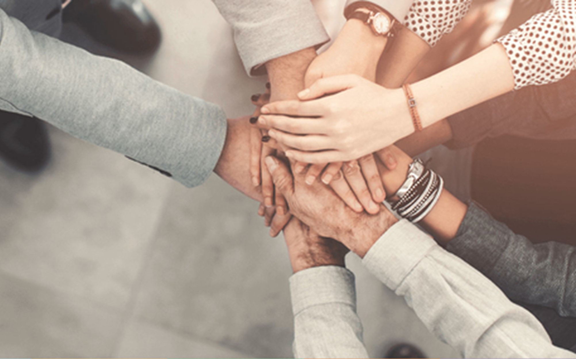 Integridad, Transparencia y Lucha contra la Corrupción