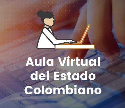 Aula Virtual del Estado