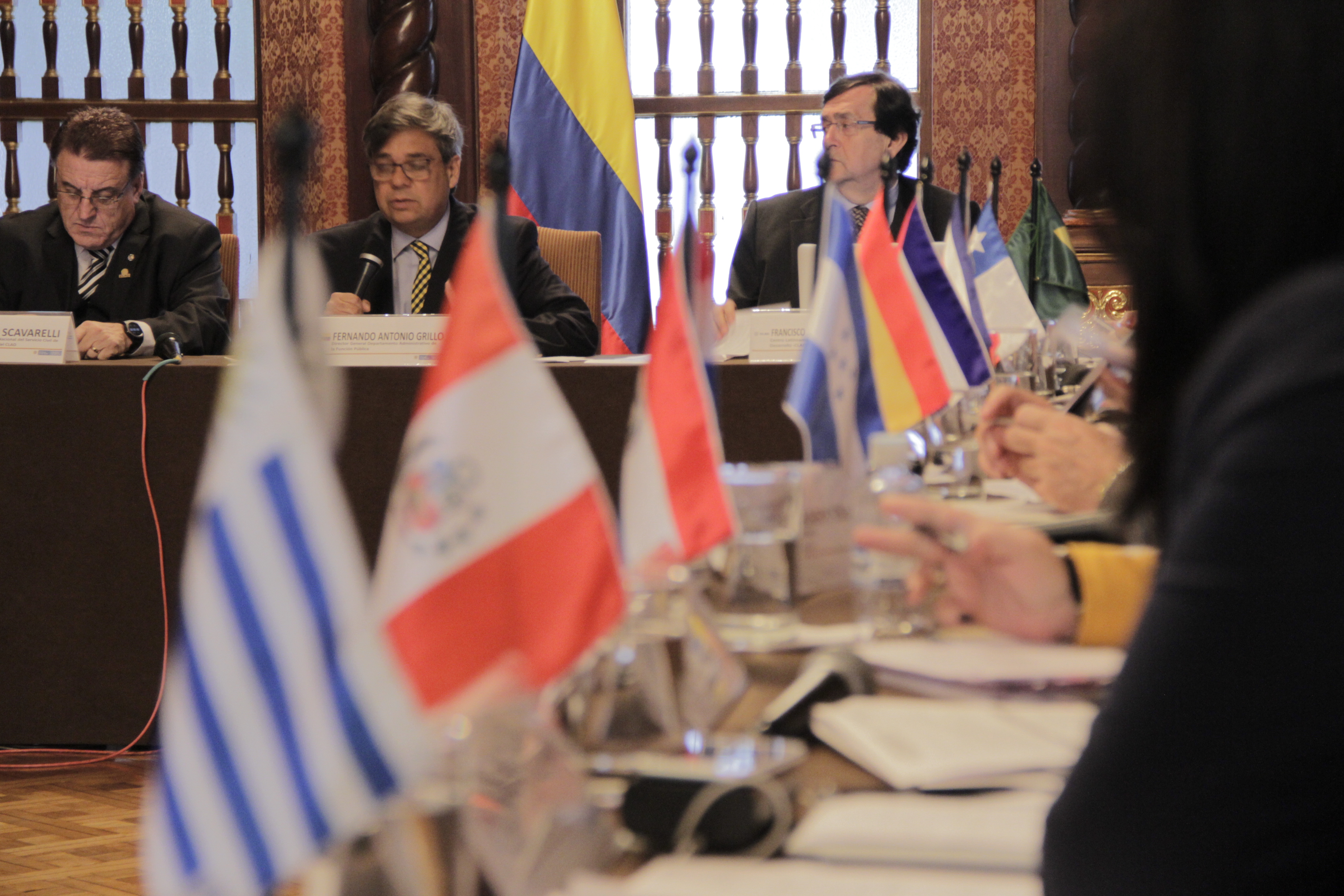 Fernando Grillo Rubiano, Director de Función Pública