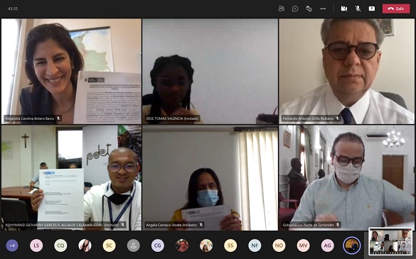 Captura de pantalla de la reunión