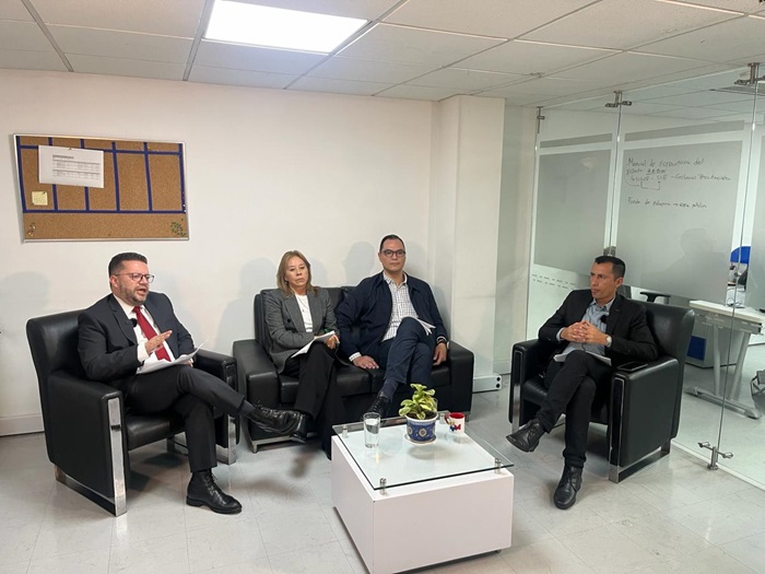 Tres hombres y una mujer, los integrantes de la mesa que espuso en el webinar sobre Formalización Laboral del Empleo Público en Equidad