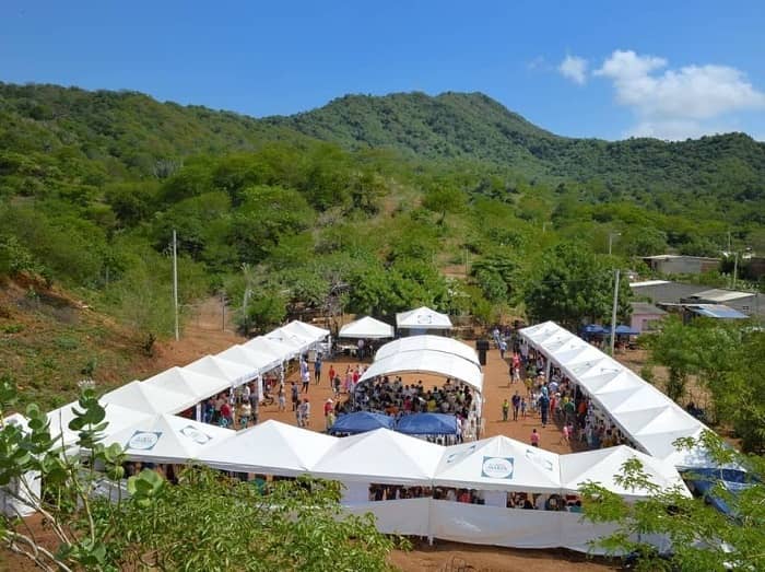Vista panorámico de unas carpas en forma de feria en medio de la vegetación
